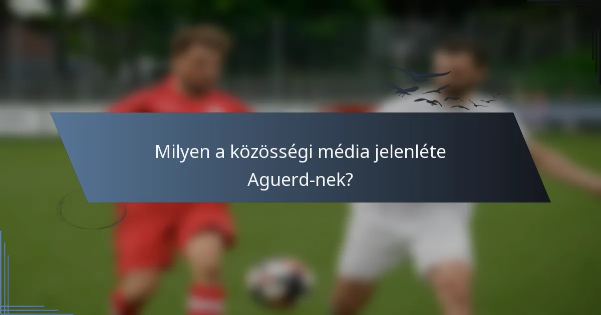 Milyen a közösségi média jelenléte Aguerd-nek?