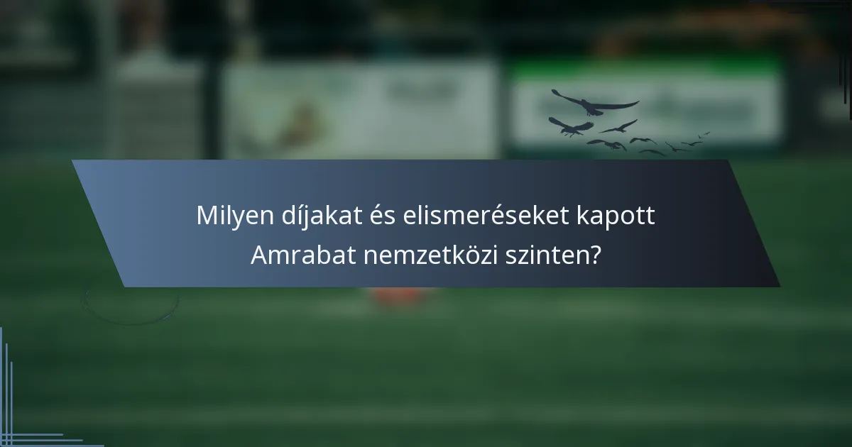 Milyen díjakat és elismeréseket kapott Amrabat nemzetközi szinten?