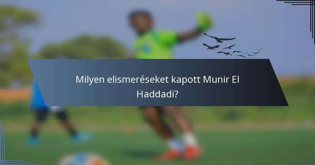Milyen elismeréseket kapott Munir El Haddadi?